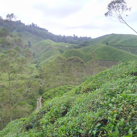 Netasha Holiday Inn And Apartment Cameron Highlands Bagian luar foto