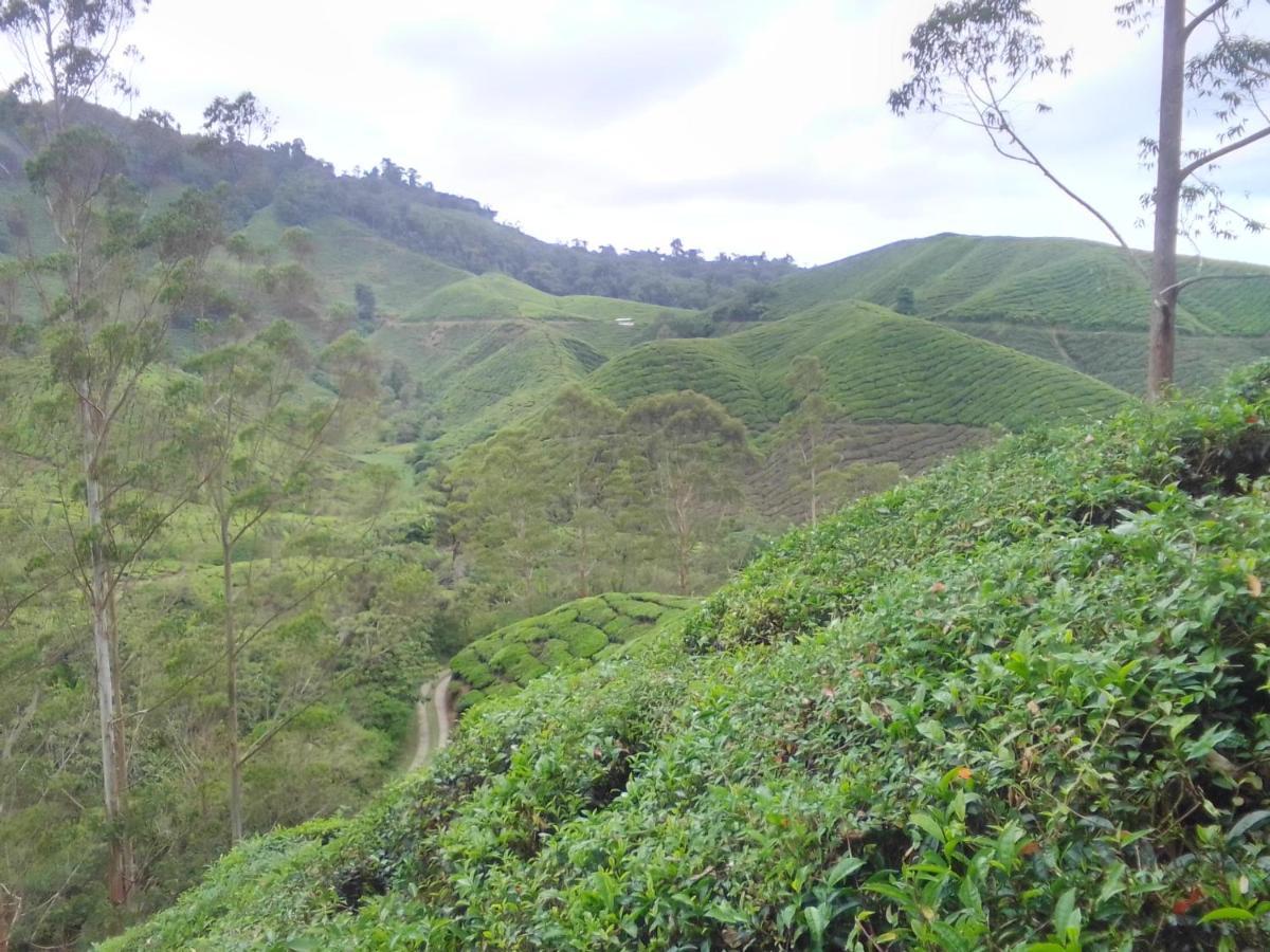 Netasha Holiday Inn And Apartment Cameron Highlands Bagian luar foto