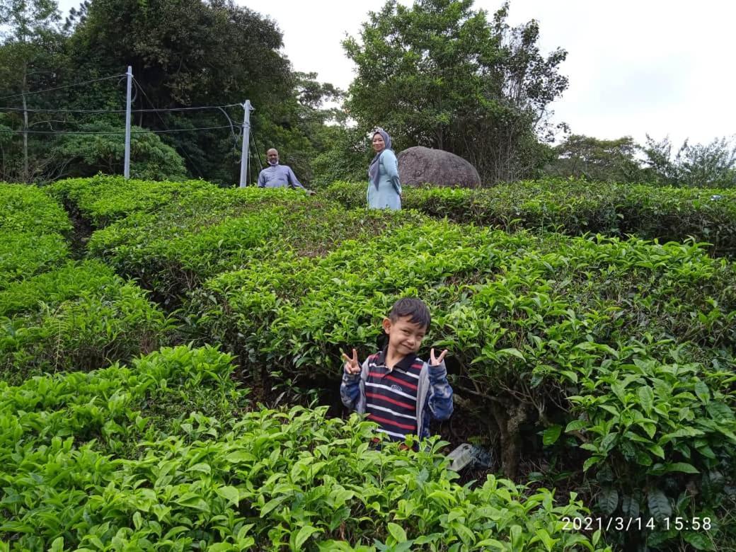 Netasha Holiday Inn And Apartment Cameron Highlands Bagian luar foto