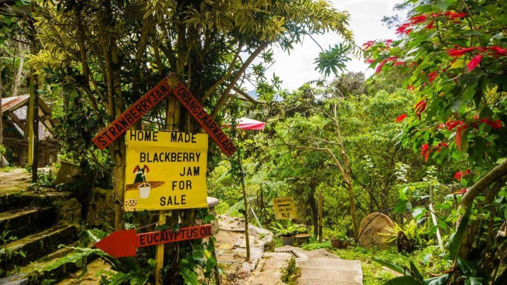 Netasha Holiday Inn And Apartment Cameron Highlands Bagian luar foto