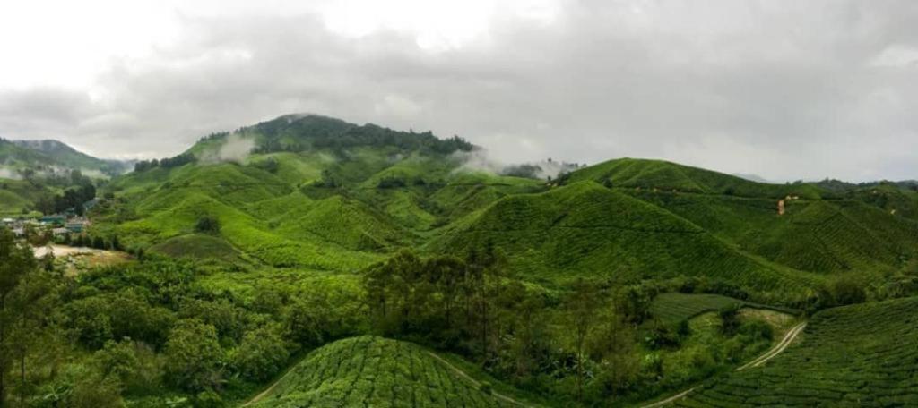 Netasha Holiday Inn And Apartment Cameron Highlands Bagian luar foto