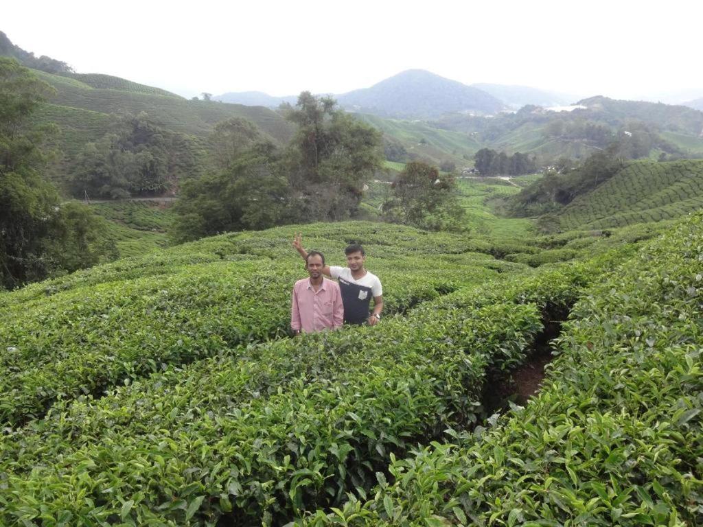 Netasha Holiday Inn And Apartment Cameron Highlands Bagian luar foto