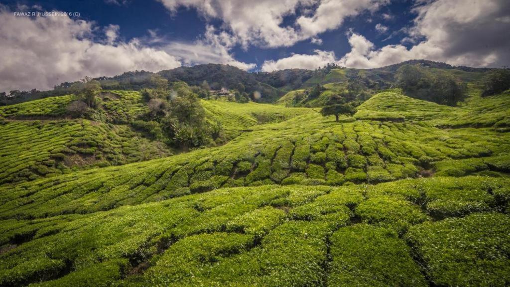 Netasha Holiday Inn And Apartment Cameron Highlands Bagian luar foto