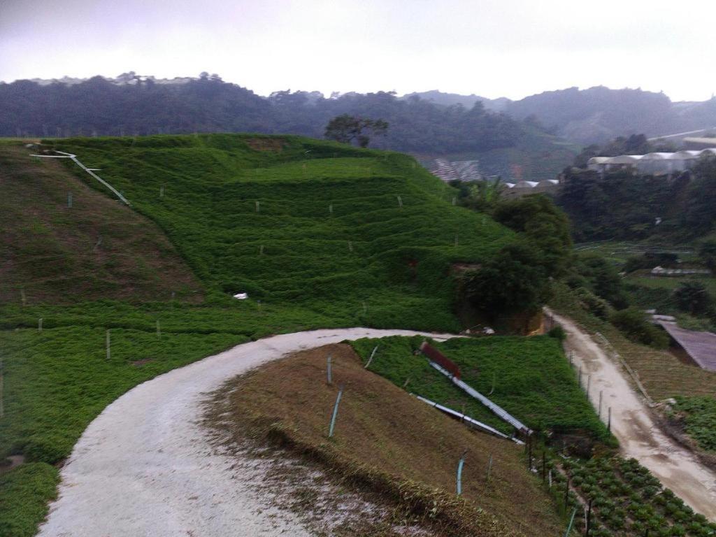 Netasha Holiday Inn And Apartment Cameron Highlands Bagian luar foto