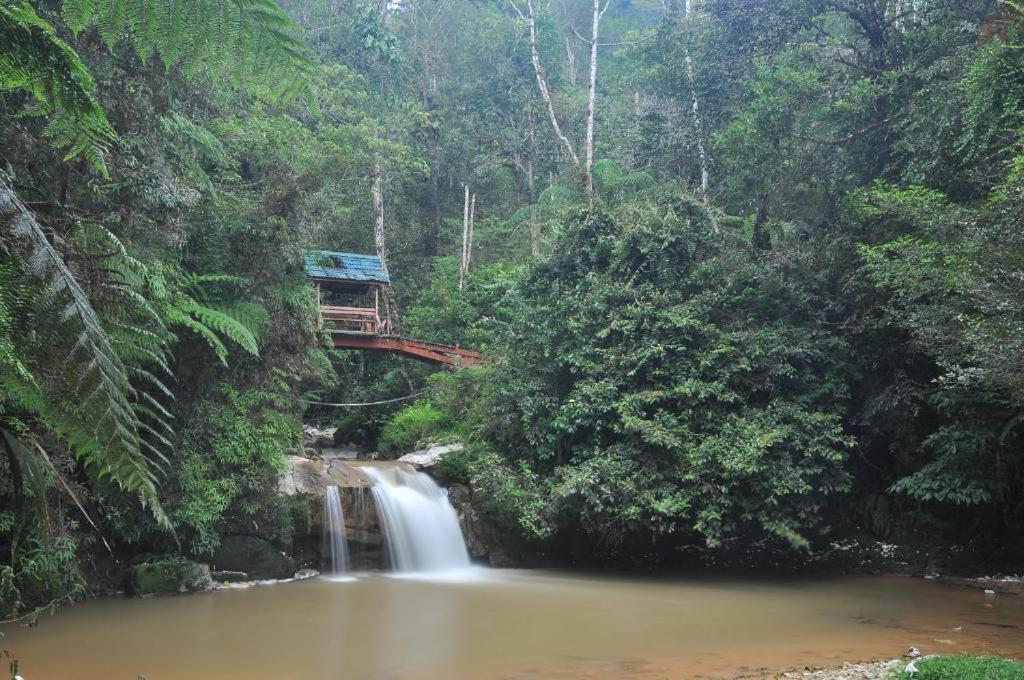 Netasha Holiday Inn And Apartment Cameron Highlands Bagian luar foto