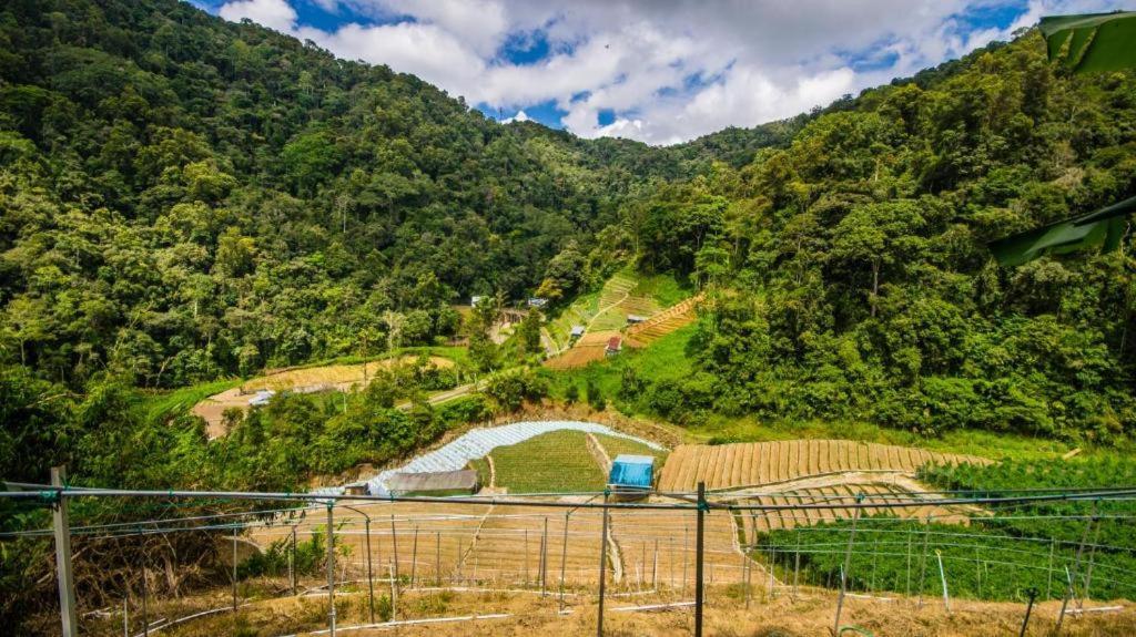 Netasha Holiday Inn And Apartment Cameron Highlands Bagian luar foto