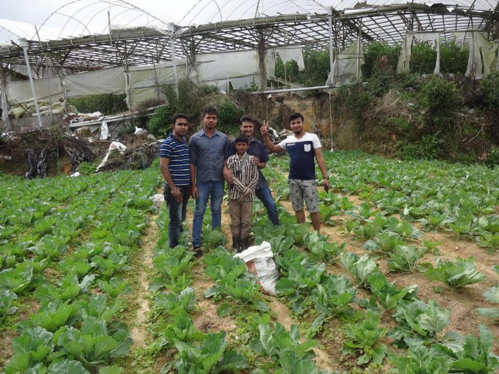 Netasha Holiday Inn And Apartment Cameron Highlands Bagian luar foto