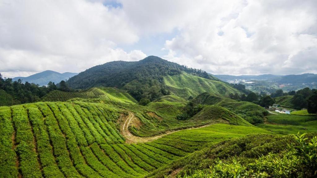 Netasha Holiday Inn And Apartment Cameron Highlands Bagian luar foto