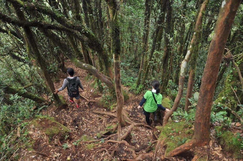 Netasha Holiday Inn And Apartment Cameron Highlands Bagian luar foto